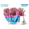 veronique SMART ARTIST - Florius BV
