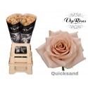R GR QUICKSAND - Vip Roses by Sassen