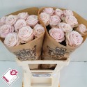 R GR CAFE! - Wans Roses