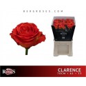 R GR CLARENCE+ - Berg RoseS