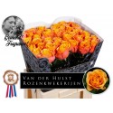 R GR HELIANA ORANGE+ - Paul v.d. Hulst...