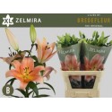 lilium ZELMIRA - Bredefleur