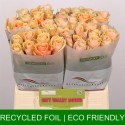 R GR ALCHEMY - Rift Valley Roses