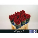 R GR RED NAOMI! - Aad Meewisse Roses