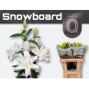 lilium DU SNOWBOARD - QUALILY