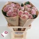 R GR RETRO LOVE! - Wans Roses