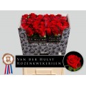R GR CON AMORE - Sjaak v.d. Hulst Rozenkw