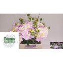 DAHL DEC SWEET LOVE - Theuws Flowers