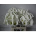 calla Crystal Blush blanc -...