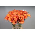 calla CALLISTA - KALLALAND