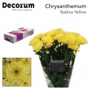 deco Baltica Yellow - Decorum Van Dijk...
