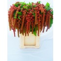 AMAR CA CORAL FOUNTA - A.P. Koot VOF