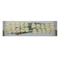 anthurium Moments blanc - Peelen Anthurium