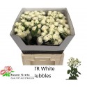 R branchue blanc BUBBLES - H. und S. Kretz