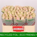 R GR PINK ATHENA - Lolomarik / Fresco