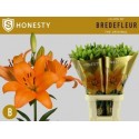 lys Honesty orange - Bredefleur