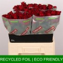 R GR Ever Red rge - Timaflor / Fresco