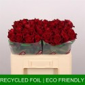 R GR Ever Red rge - Timaflor / Fresco