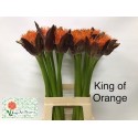 SCAD M KING O ORANGE - Kings Art Flowers