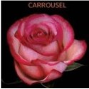 R EQ carroussel - equateur