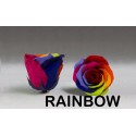 R preservée rainbow - .