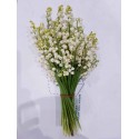 muguet botte 1er prod nantaise - .