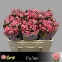 R branchue tralala - Blen Flowers