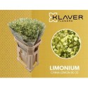 LIM SIN CHINA LEMON 80/35GR - .