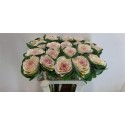 choux blanc CRANE - .