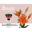 lys SUNDERLAND 4+ - .