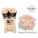 R GR ROYAL ROMANCE - Vip Roses by Sassen
