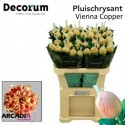 CHR G Vienna blanc COPPER - Decorum ArcadiA