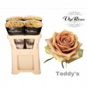 R GR TEDDYS - Vip Roses by Sassen