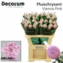CHR G Vienna blanc PINK - Decorum ArcadiA