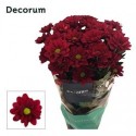 deco MEXICANO - .