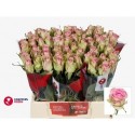 R Gr lovely jewel - Minaye Flowers