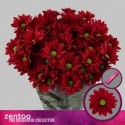 deco RUBY STAR - .