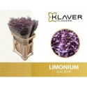 LIM SAF LILAC 80/40GR - .