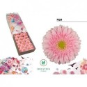 gerbera Fem rose - Holstein Flowers