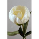 Pivoine Bridal Shower - France-Midi