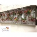 Gloriosa rothschildiana - Hoeymakers Bloemen