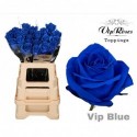 R GR OV KLB H% - Vip Roses by Sassen