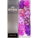 VANDA T GEMENGD - Ansu