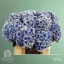 hortensia M BEAU DALI - .