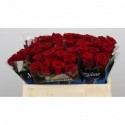 R Gr red naomi - Meewisse BV A.C.A