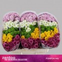 CHR S POMPON varié botte - Zentoo