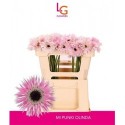 GE MS PUNKI OLINDA - LG Flowers
