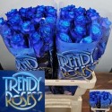 R GR OV KLB H% - Trendy Roses