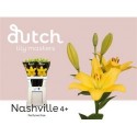 lys Nashville jaune 4+ - .