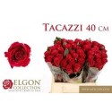 R GR TACAZZI+ - .